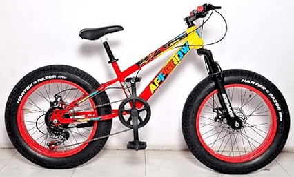 Electric Fat Tyre Cycle